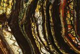 Polished Tiger Iron Stromatolite - Billion Years #129206-1